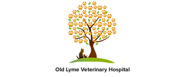 Old Lyme Veterinary Hospital Logo